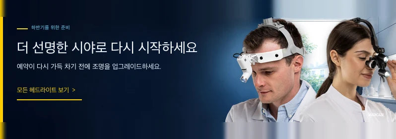 마디카자 창립 기념의 달 8월 — 최대 40% 할인